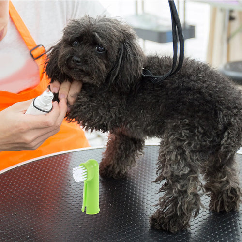 50Pcs Pet Finger Toothbrush Silicone Dog Cat Tooth Brush Soft Bristle for Small Large Breeds Puppy Kitten Oral Care Dental