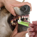 50Pcs Pet Finger Toothbrush Silicone Dog Cat Tooth Brush Soft Bristle for Small Large Breeds Puppy Kitten Oral Care Dental